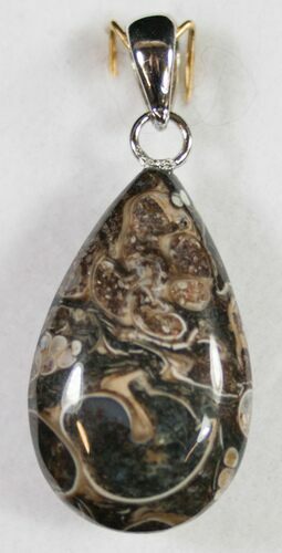 Fossil Turritella (Gastropod) Pendant - Wyoming #9077